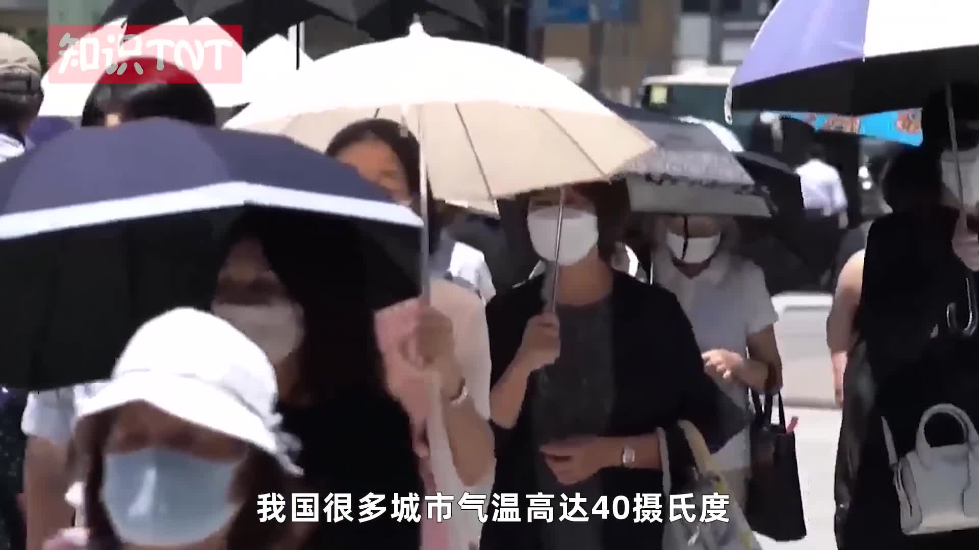 实拍上海40度高温里下开水,体感58℃的街头,人真的会蒸熟 实拍上海40度高温里下开水,体感58℃的街头,人真的会蒸熟