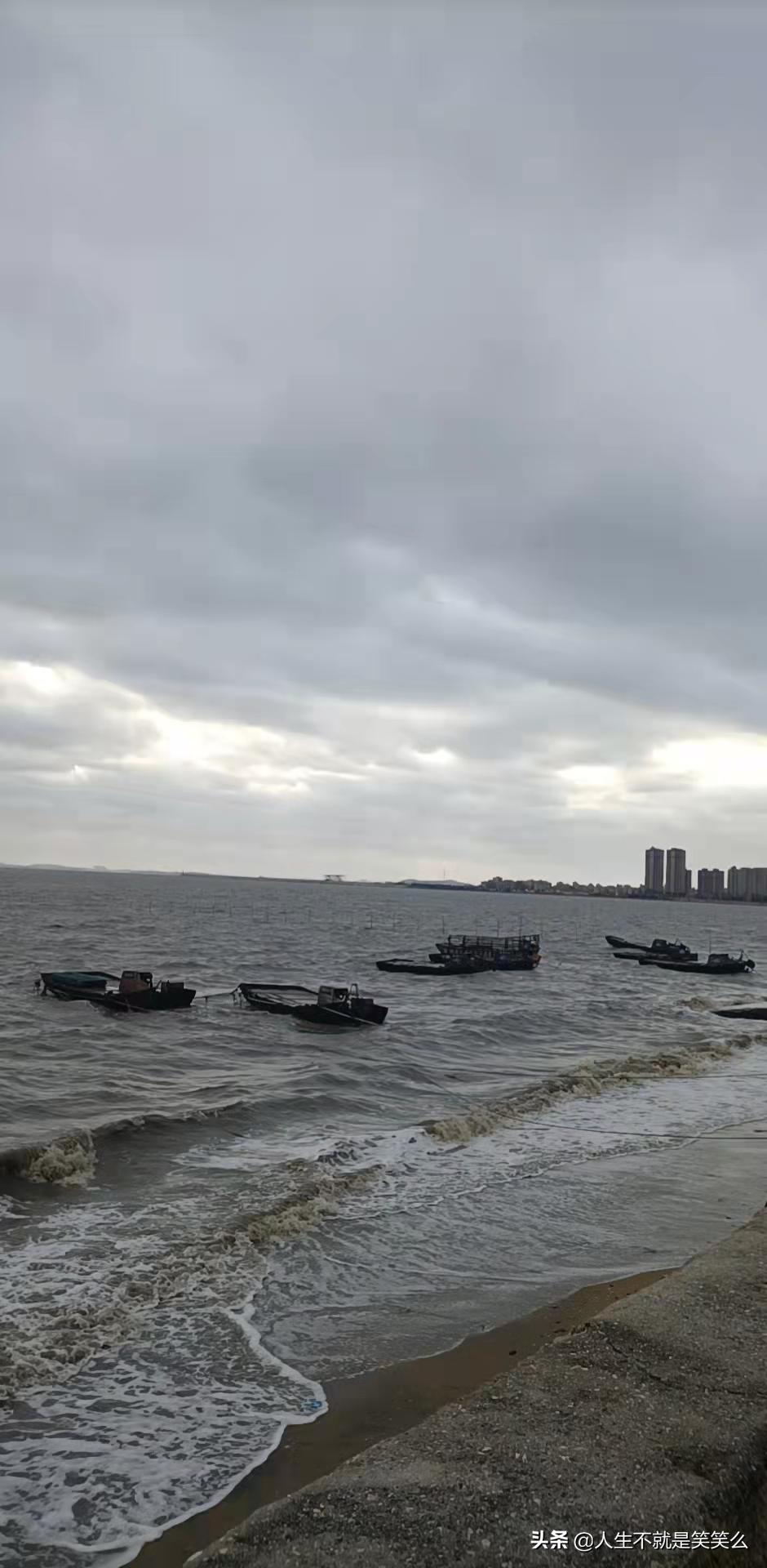 福建vs深圳视频直播,一场海风与霓虹的隔空对决 福建vs深圳视频直播,一场海风与霓虹的隔空对决